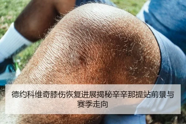 德约科维奇膝伤恢复进展揭秘辛辛那提站前景与赛季走向